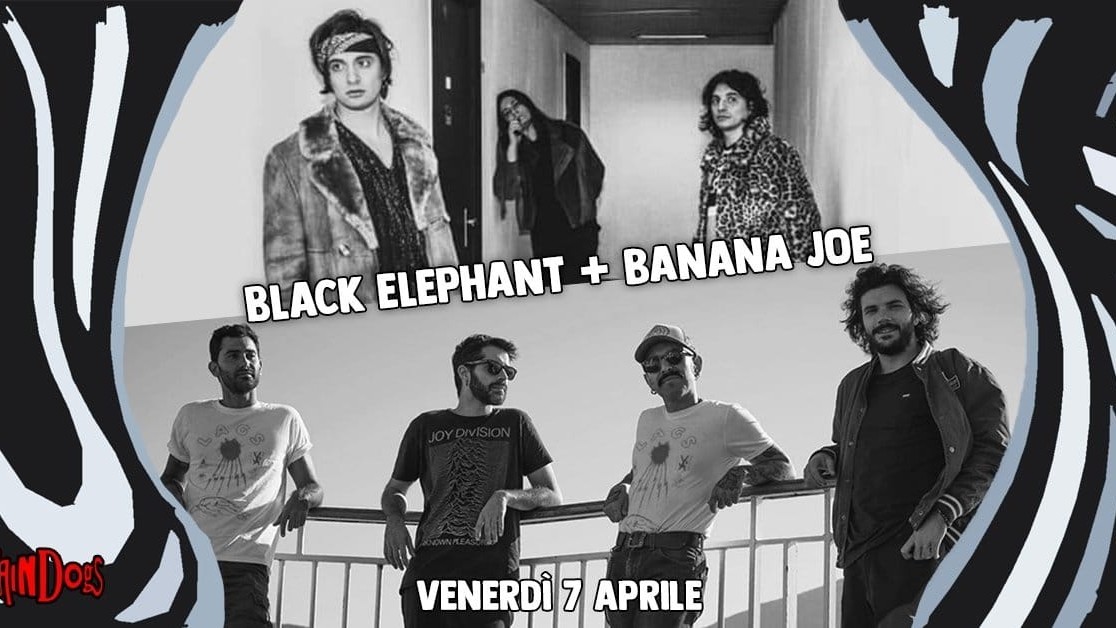 Black Elephant + Banana Joe