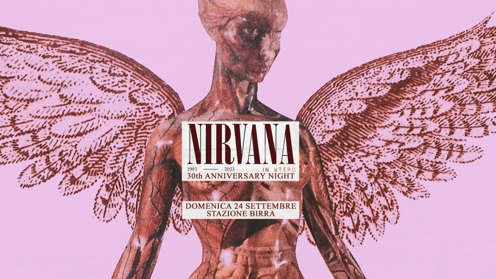 30 Years In Utero - Nirvana