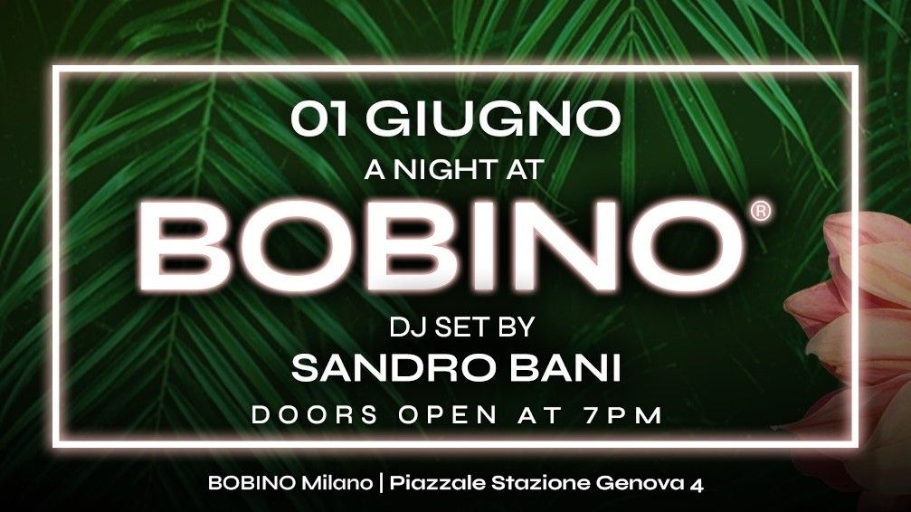 Bobino Night