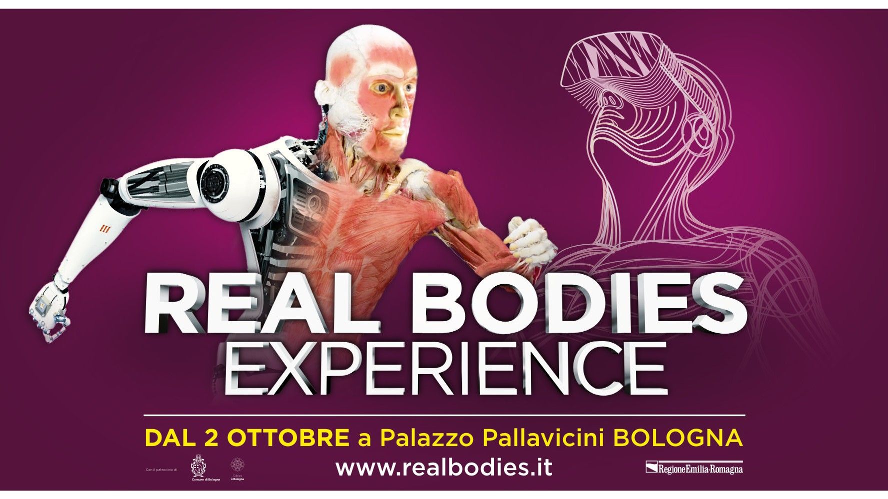Real Bodies Experience