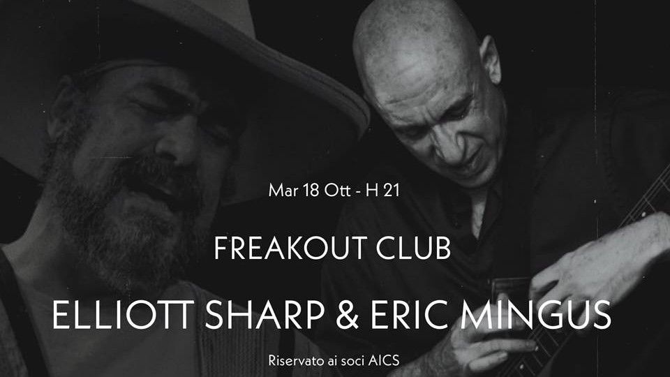 Elliott Sharp & Eric Mingus