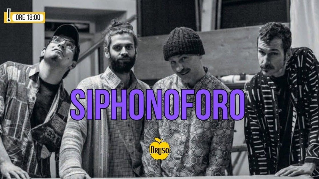 Siphonoforo