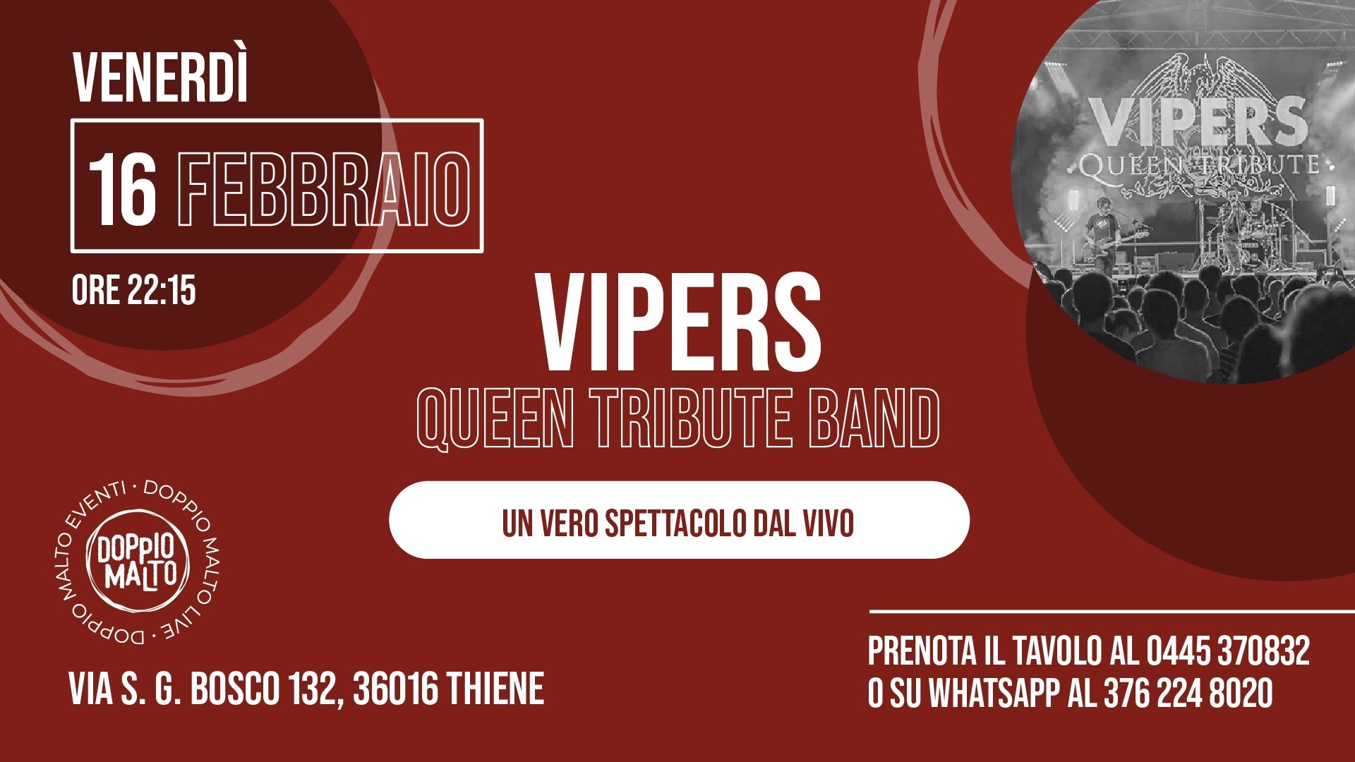 Vipers - Queen Tribute Band