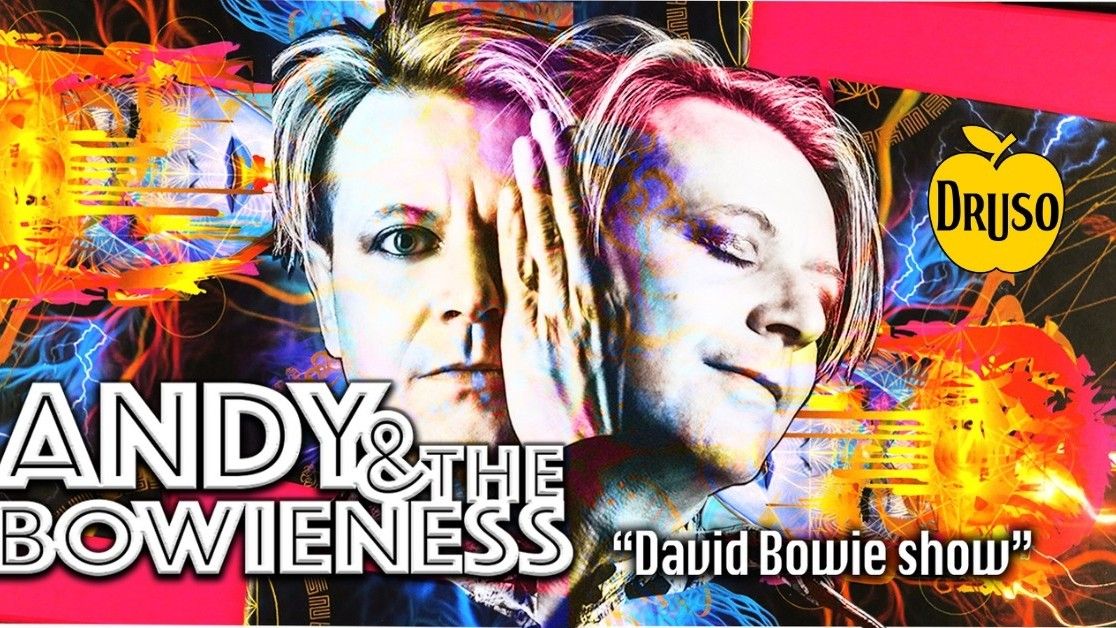 Andy & The Bowieness