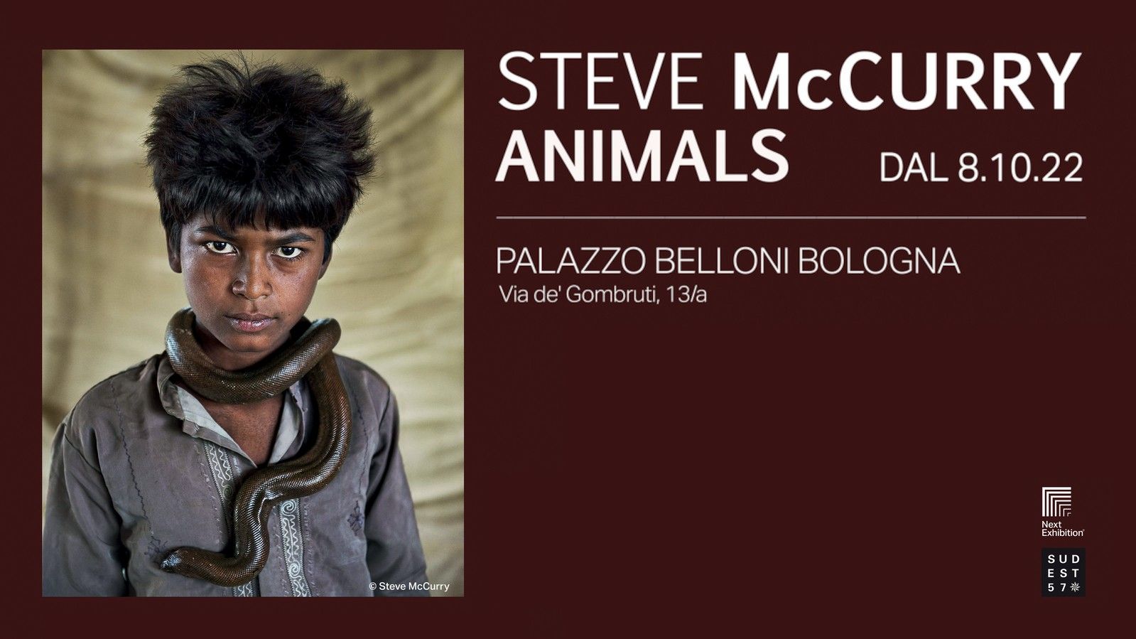Steve McCurry - Animals