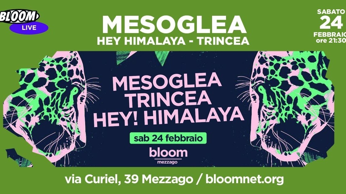 Mesoglea + Hey Himalaya + Trincea - In collaborazione con A Tu X Tour
