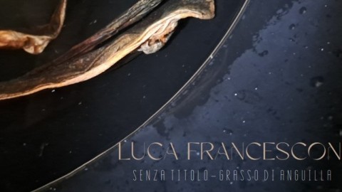 Senza Titolo. Grasso di anguilla. Luca Francesconi