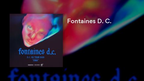 Fontaines D. C.