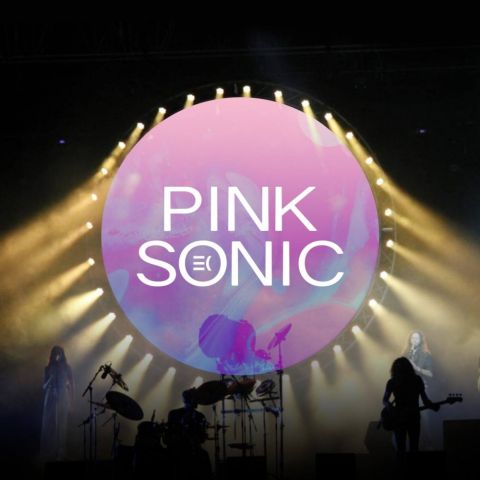 Pink Sonic - European Pink Floyd Experience