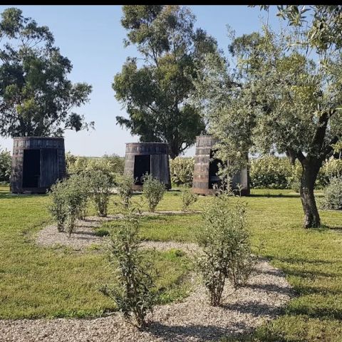 Azienda Agricola Biologica Posta Faugno