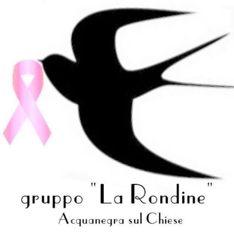Associazione "La Rondine"